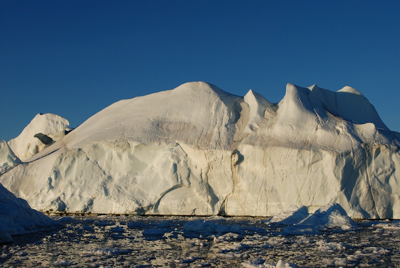 How Climate Change is Affecting Wildlife and Biodiversity